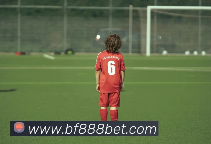 必发888平台生态图